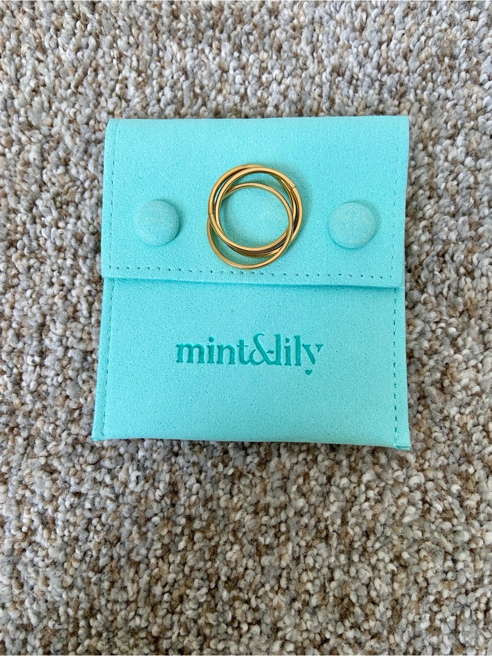 Dainty Interlocking Fidget Ring mint & lily Size 9